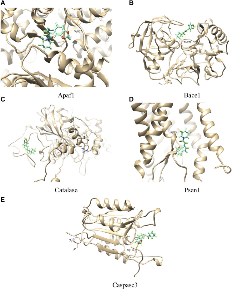 FIGURE 10