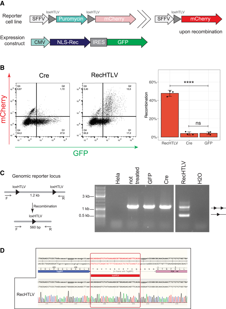 Figure 4