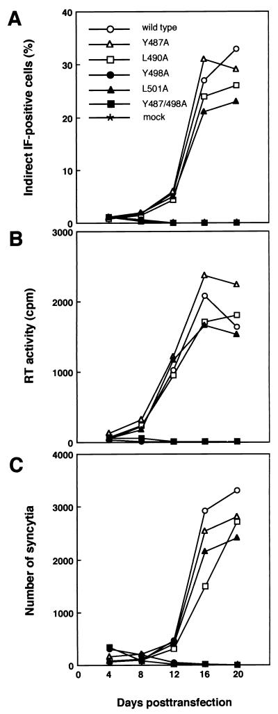 FIG. 3