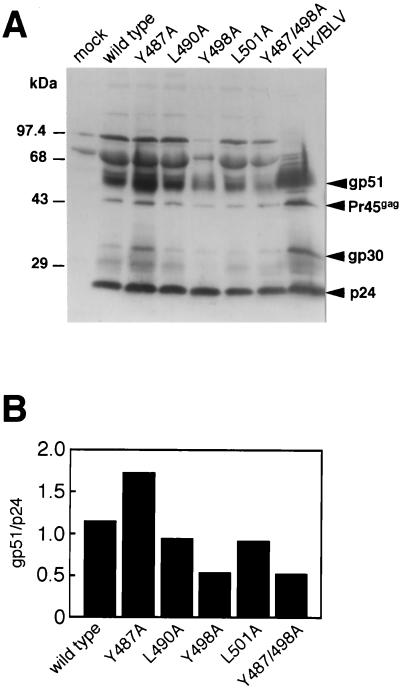 FIG. 6