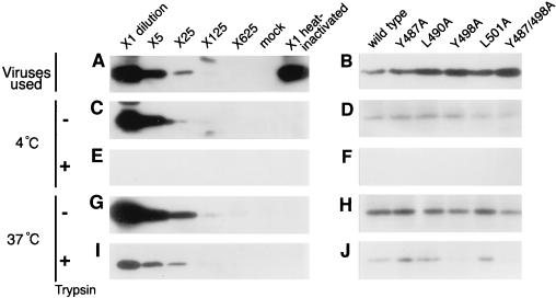 FIG. 7