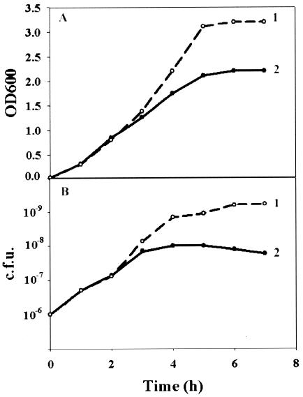 FIG. 5.