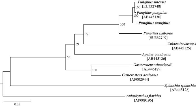 Figure 1.