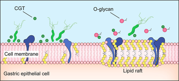 FIG 7