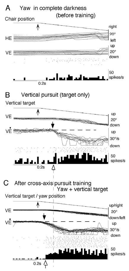 Fig. 14