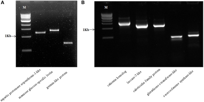 Figure 14