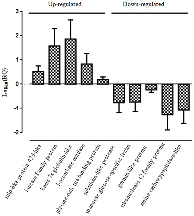 Figure 13