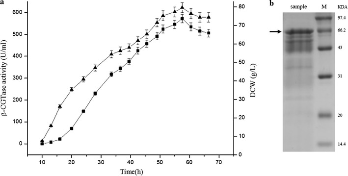 Fig. 6