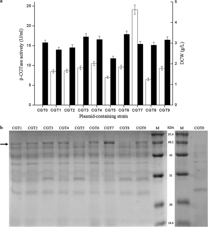 Fig. 1