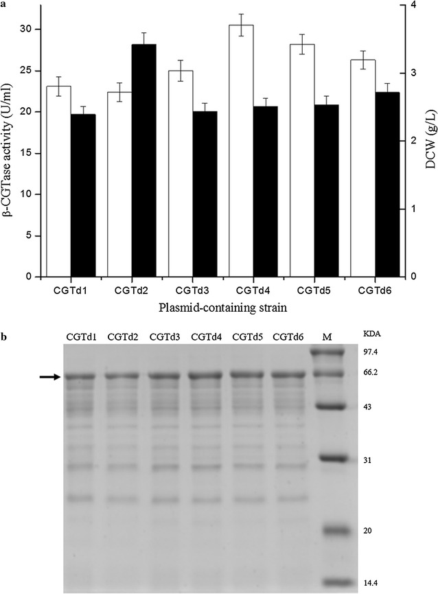 Fig. 2