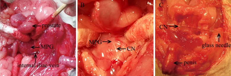 Fig 2