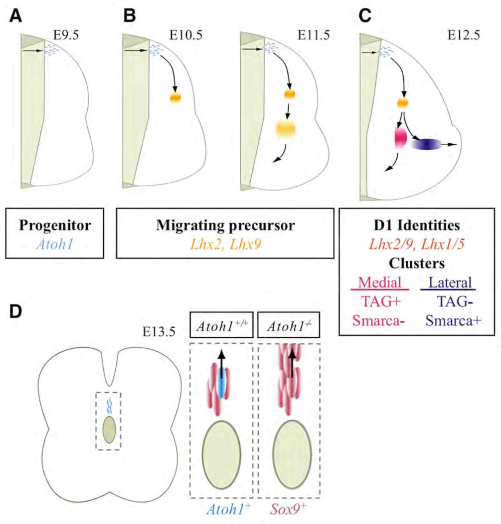 Fig. 8