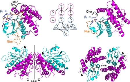 FIGURE 4.