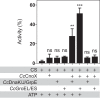 FIG 3