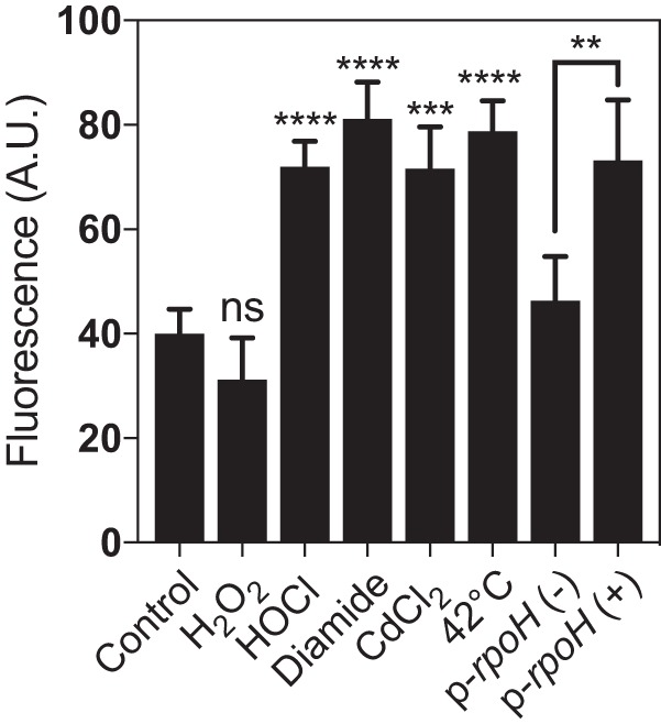 FIG 4