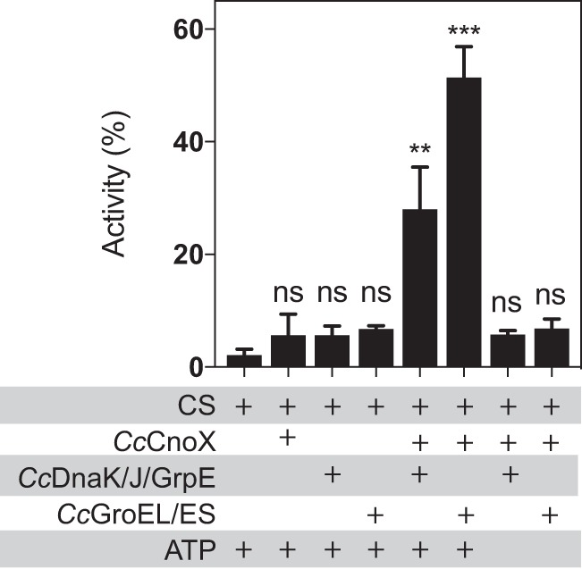 FIG 3