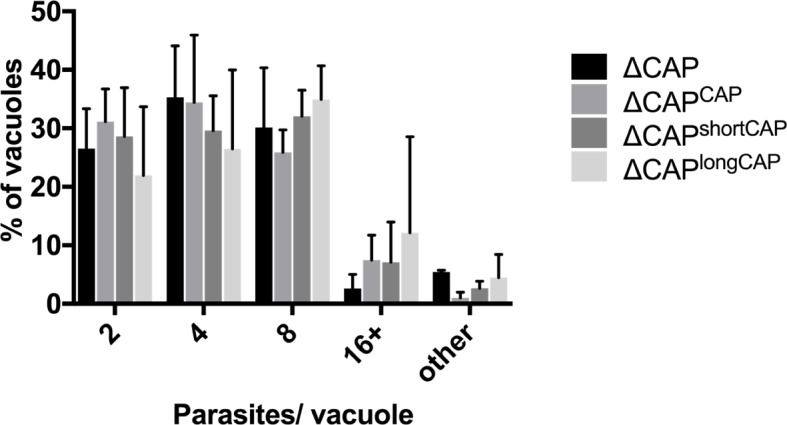 Figure 4—figure supplement 1.