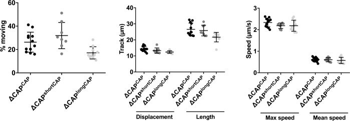 Figure 4—figure supplement 2.