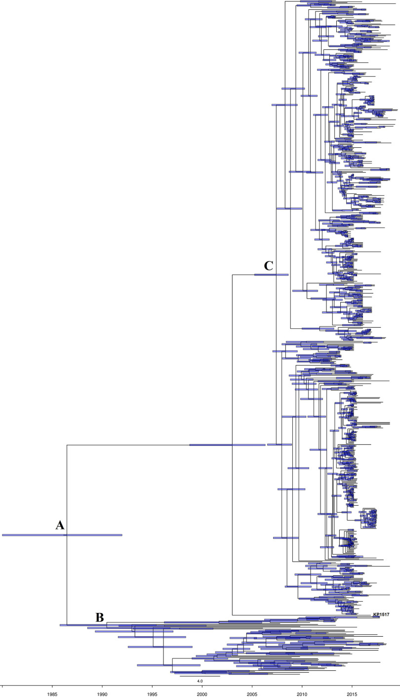 FIG 3