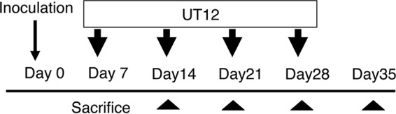 FIG 1