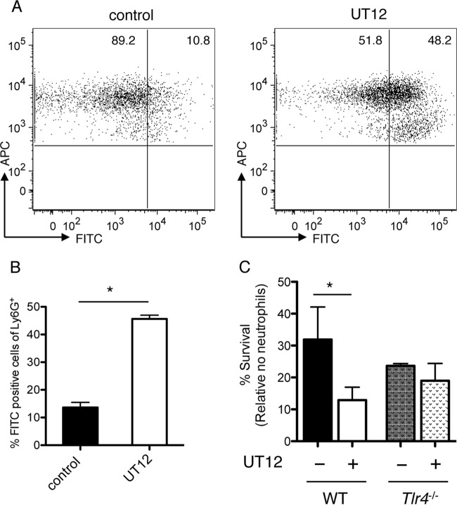 FIG 6