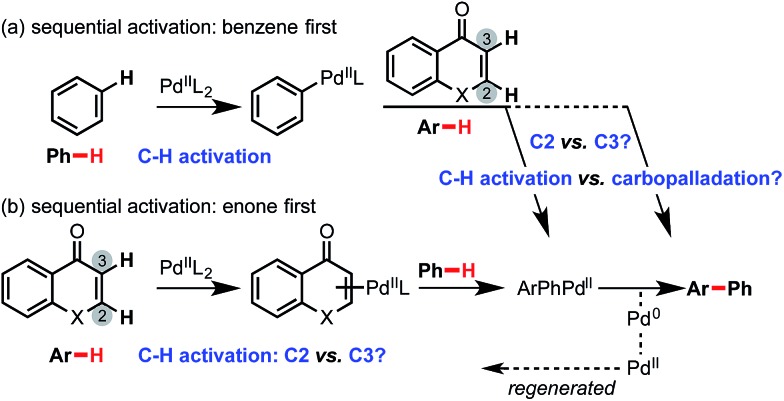 Scheme 3