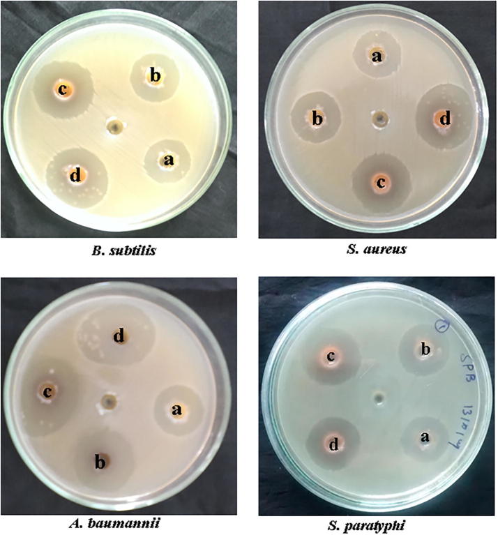 Fig. 6