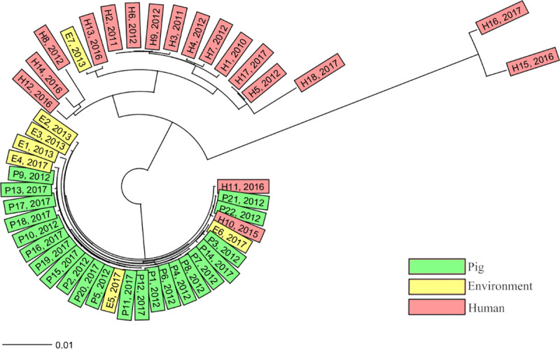 Fig 1