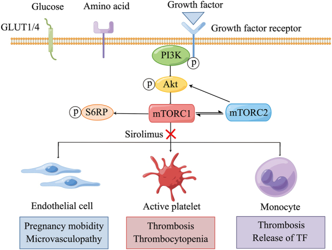 Figure 1: