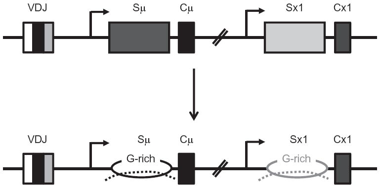 Figure 1.4