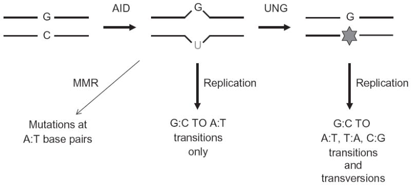 Figure 1.2