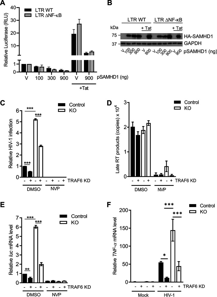 FIG 6