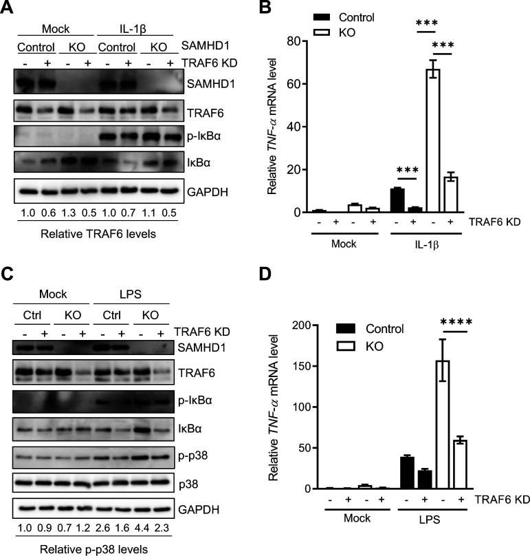 FIG 3