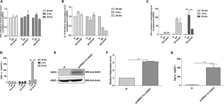 Figure 7