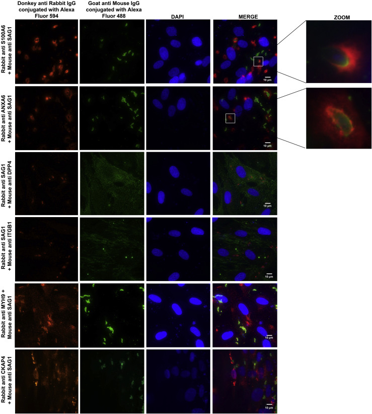 Figure 2