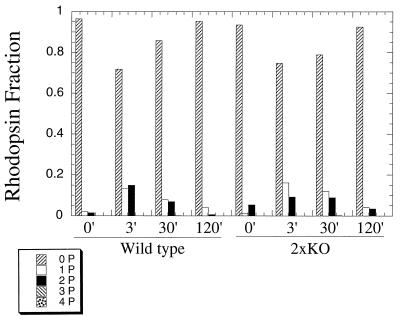 FIG. 7