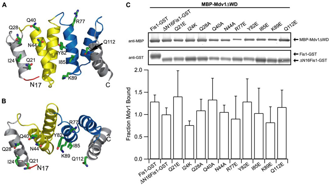 FIGURE 5