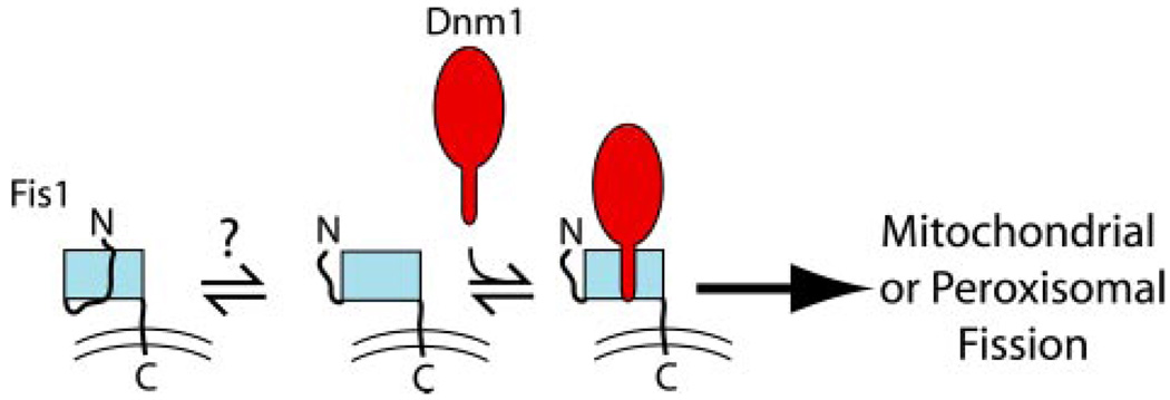 FIGURE 8