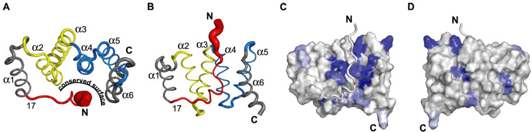 FIGURE 3