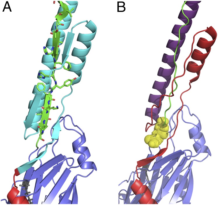 Fig. 6.