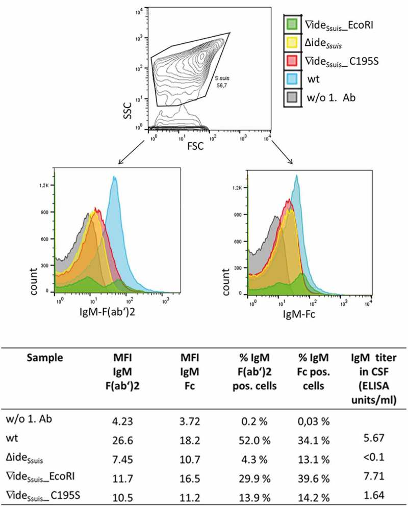 Figure 11.