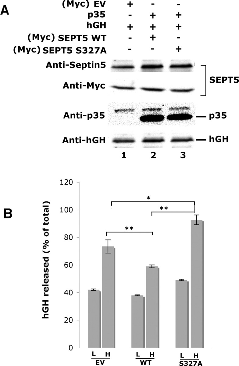 Figure 11.