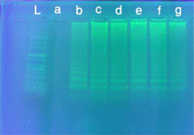 Fig. 6: