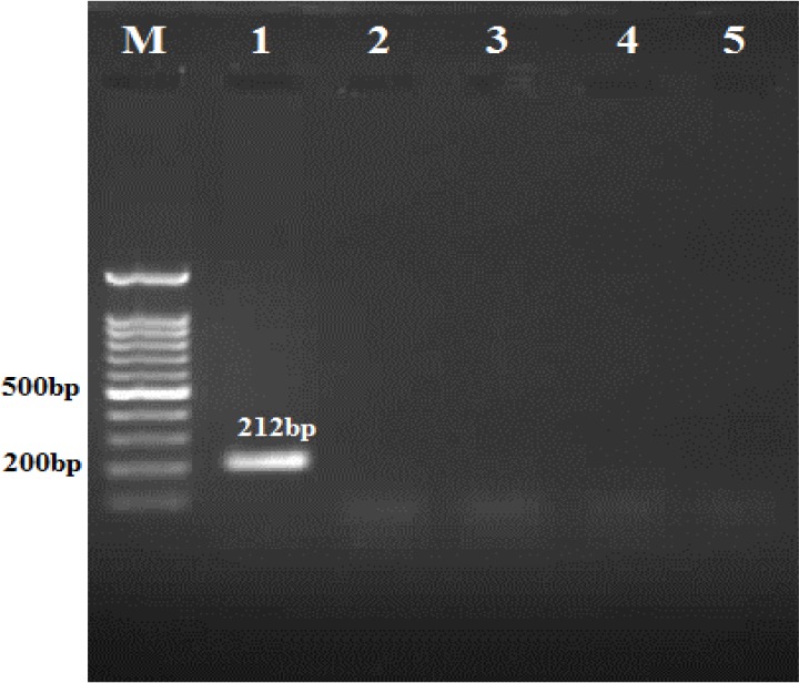 Fig. 2: