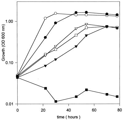 FIG. 3