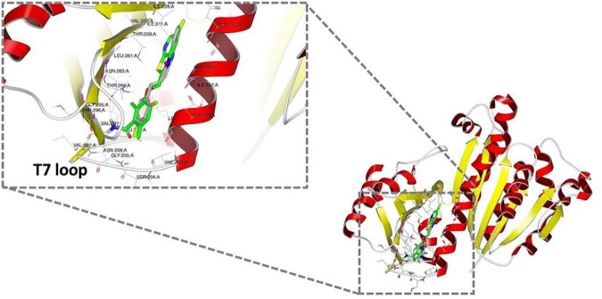 FIGURE 6