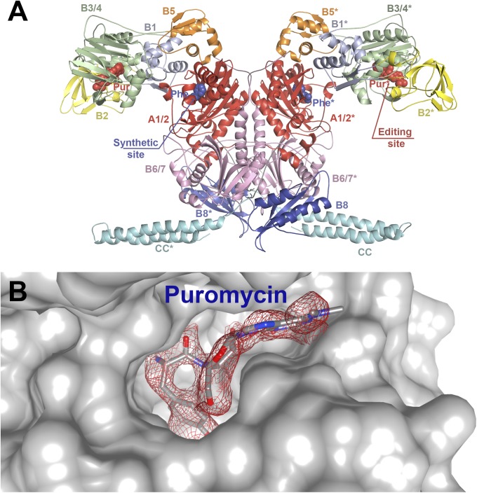 Fig. 1.