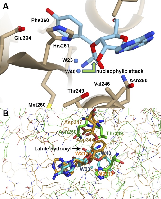 Fig. 4.