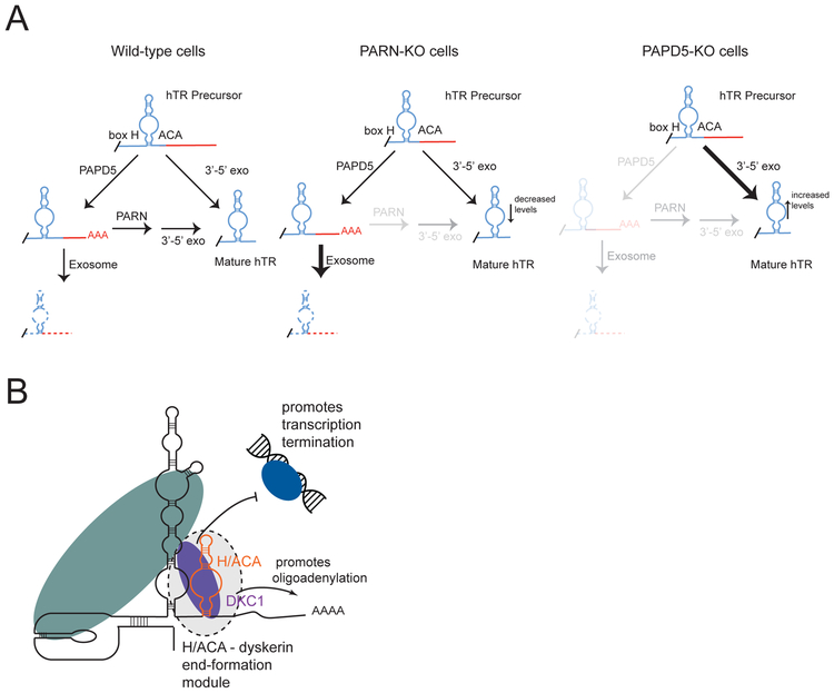 Figure 6: