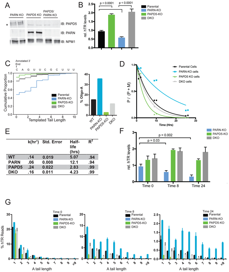 Figure 4: